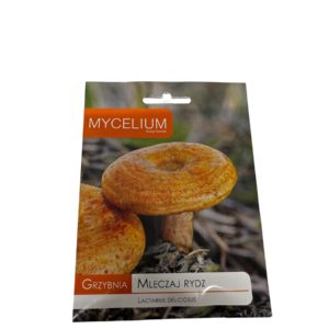 Mleczaj Rydz (Lactarius deliciosus)