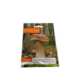 Borowik Brzozowy (Boletus betulicola)